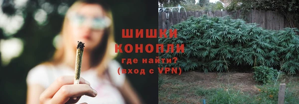 мяу мяу мука Гусев