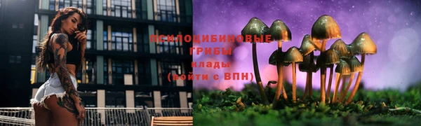 ALPHA-PVP Гусиноозёрск