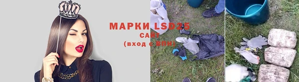 мяу мяу мука Гусев