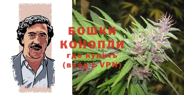 дурь Щёлкино