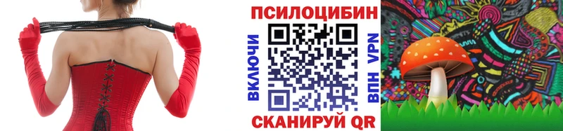 Галлюциногенные грибы Psilocybine cubensis  blacksprut рабочий сайт  Озёрск 